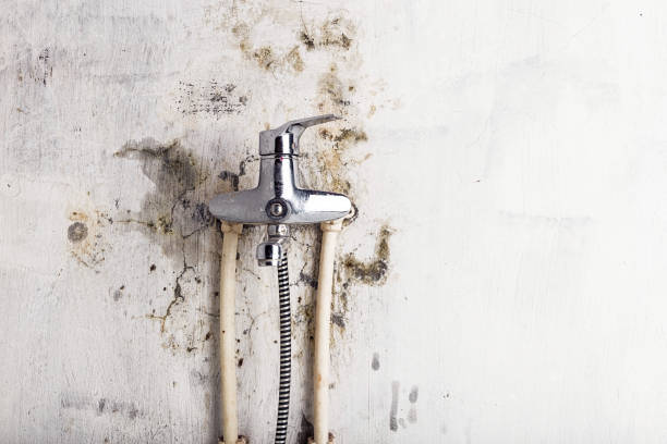 Mold Testing and Removal in Johnston, IA