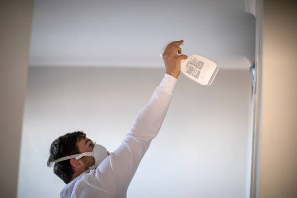 Best Commercial Mold Removal  in Johnston, IA