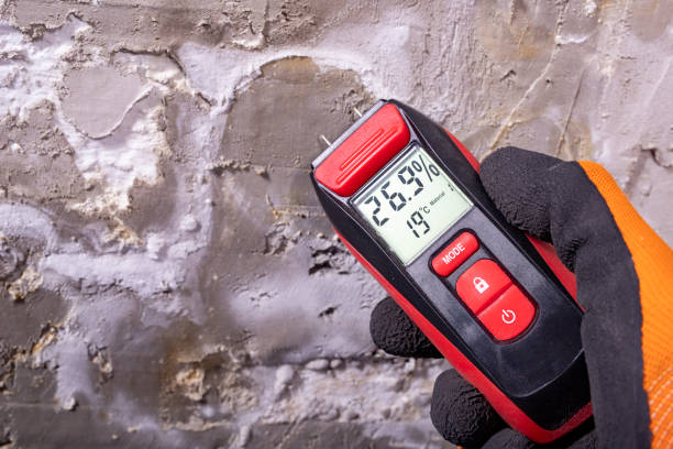 Best Crawl Space Mold Removal  in Johnston, IA