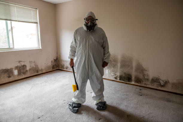 Best Emergency Mold Removal  in Johnston, IA